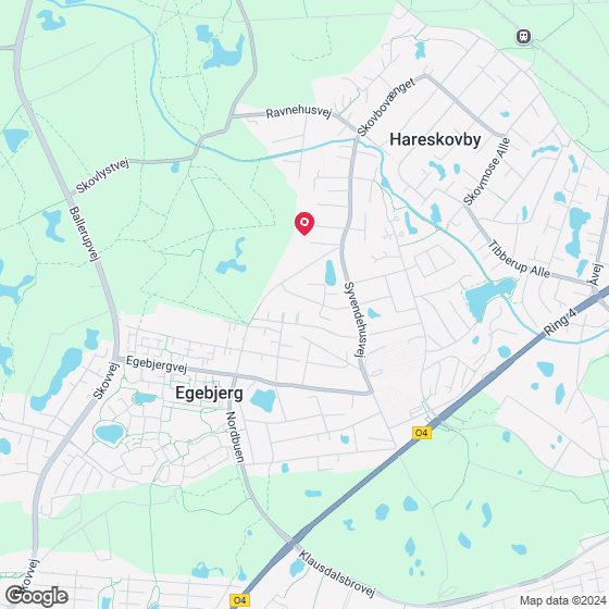 Bakkehegnet 19