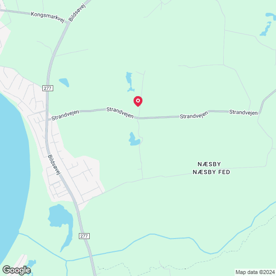Birkemosevej 1